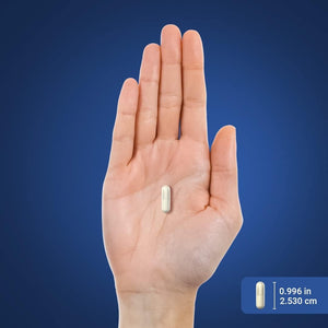 Piping Rock CDP Choline Citicoline 1000Mg | 60 Quick Release Capsules Non - Gmo, Gluten Free Dietary Supplement - Suppviv