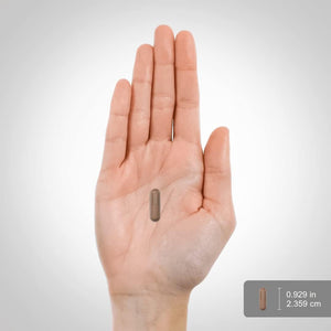 Piping Rock Hyaluronic Acid with MSM | 1000Mg | 160 Capsules | Non - Gmo and Gluten Free Supplement - Suppviv