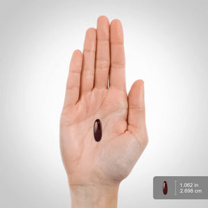 Piping Rock Sunflower Lecithin Softgel Capsules | 200 Count | Rich in Phosphatidylcholine | Soy Free, Non - Gmo, Gluten Free - Suppviv