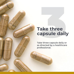 Premier Research Labs Lean Advantage: Green Coffee Bean Extract 90 Capsules - Suppviv