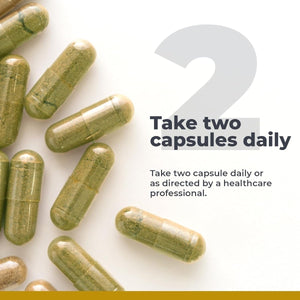 Premier Research Labs Xenostat Thyroid Support Supplement 60 Capsules - Suppviv