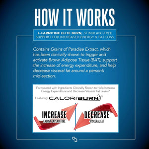 Siren Labs L - Carnitine Elite Burn Liquid Keto Fat Burner and Metabolism Activator (32 Servings) - Suppviv