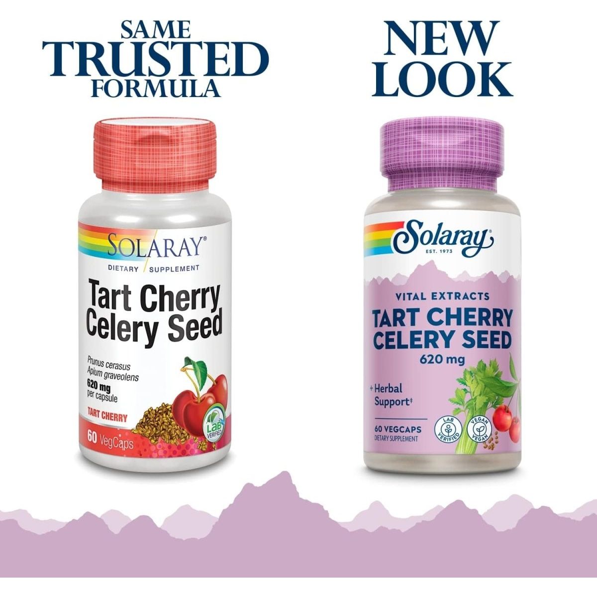 Solaray Tart Cherry & Celery Seed - Muscle Recovery & Sleep Support | 60 Vegcaps - Suppviv