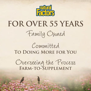 Stress - Relax Melatonin 1 Mg by Natural Factors Sleep Aid 180 Chewable Tablets - Suppviv