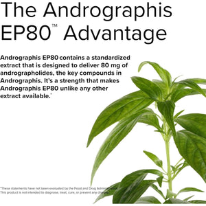 Terry Naturally Andrographis EP80 Extra Strength - 60 Capsules - Suppviv