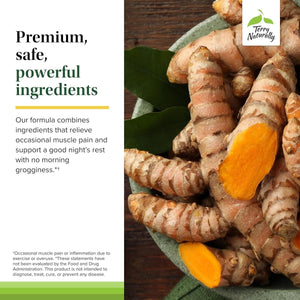 Terry Naturally Curamin Nighttime - Curcumin & DLPA Capsule Supplement - Non - Gmo Supplement to Support Healthy Sleep & Relaxation - Herbal Supplement with Melatonin - 60 Capsules - Suppviv