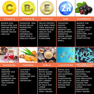 THE ENCLARE NUTRITION 10 in 1 Immune Support Booster Supplement 60 Count - Suppviv