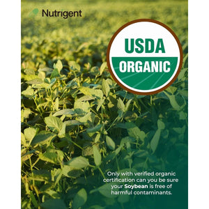 USDA Organic Soy Lecithin Supplement 800 Mg, High Absorption Liquid Organic Capsules, 60 Count - Suppviv