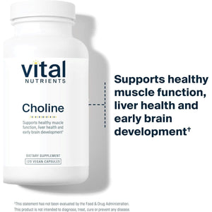 Vital Nutrients Choline 550Mg | 100% RDA for Neurological Development and Health* | 120 Capsules - Suppviv