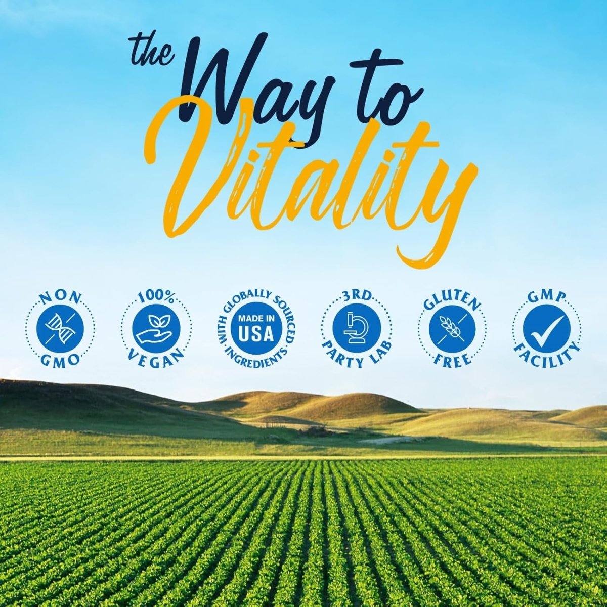 Vitalitown Hyaluronic Acid Supplements 250 Mg, plus 25 Mg Vitamin C, Skin Hydration & Joint Lubrication, 90 Vegan Capsules, - Suppviv