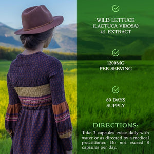 Wild Lettuce Capsules, 1200Mg Herbal Sleep Supplement 120 Capsules - Suppviv