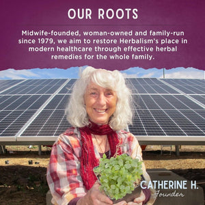 Wishgarden Herbs Sleepy Nights & Fresh Mornings - All - Natural Herbal Sleep Aid Tincture 4Oz - Suppviv