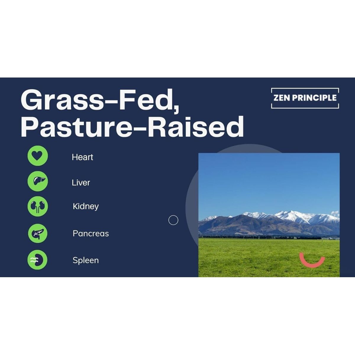 Zen Principle Grass Fed Beef Organs - Beef Organ Supplements 2 - Pack - Suppviv