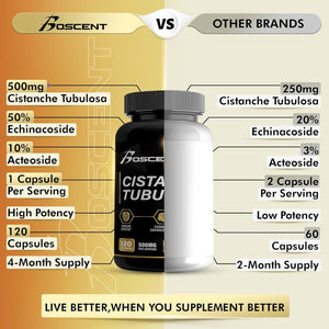 Premium Cistanche Tubulosa Extract 500Mg (120 Capsules) - Natural Nootropic