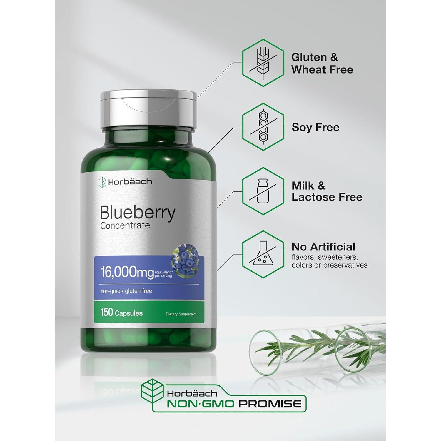 Horbäach Blueberry Extract Supplement | 150 Capsules | Blueberry Concentrate | Non-Gmo, Gluten Free
