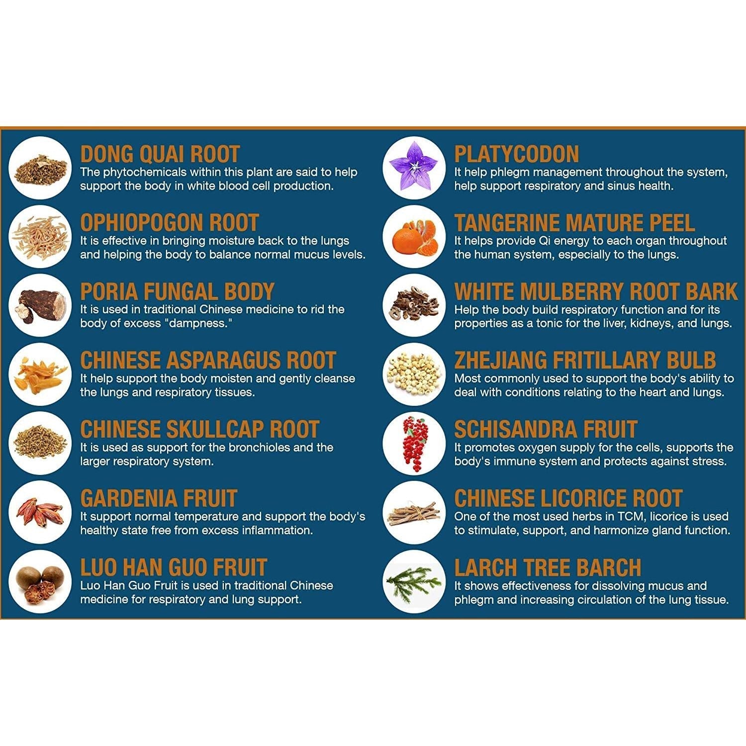 Healthy Lungs - Improve Lung Function, Breathe Better, Stop Mucus, Phlegm and Allergies Quickly 120 Capsules