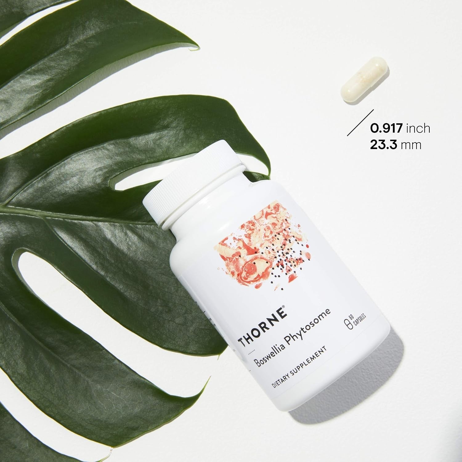 THORNE Boswellia Phytosome - Indian Frankincense (Boswellia Extract) Supplement - 60 Capsules