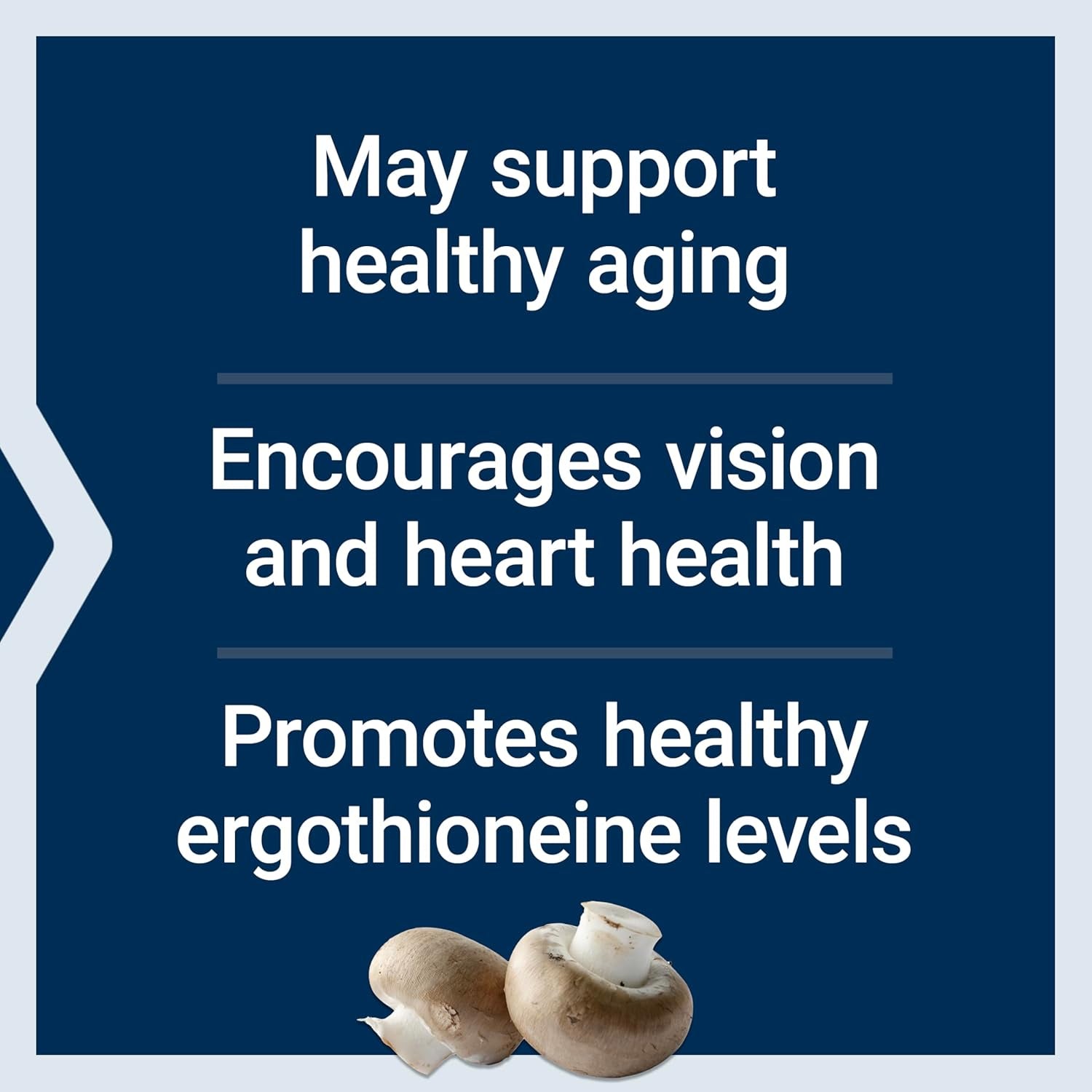Life Extension Essential Youth L-Ergothioneine – Promotes Longevity & Healthy Aging –  5 Mg – 30 Vegetarian Capsules