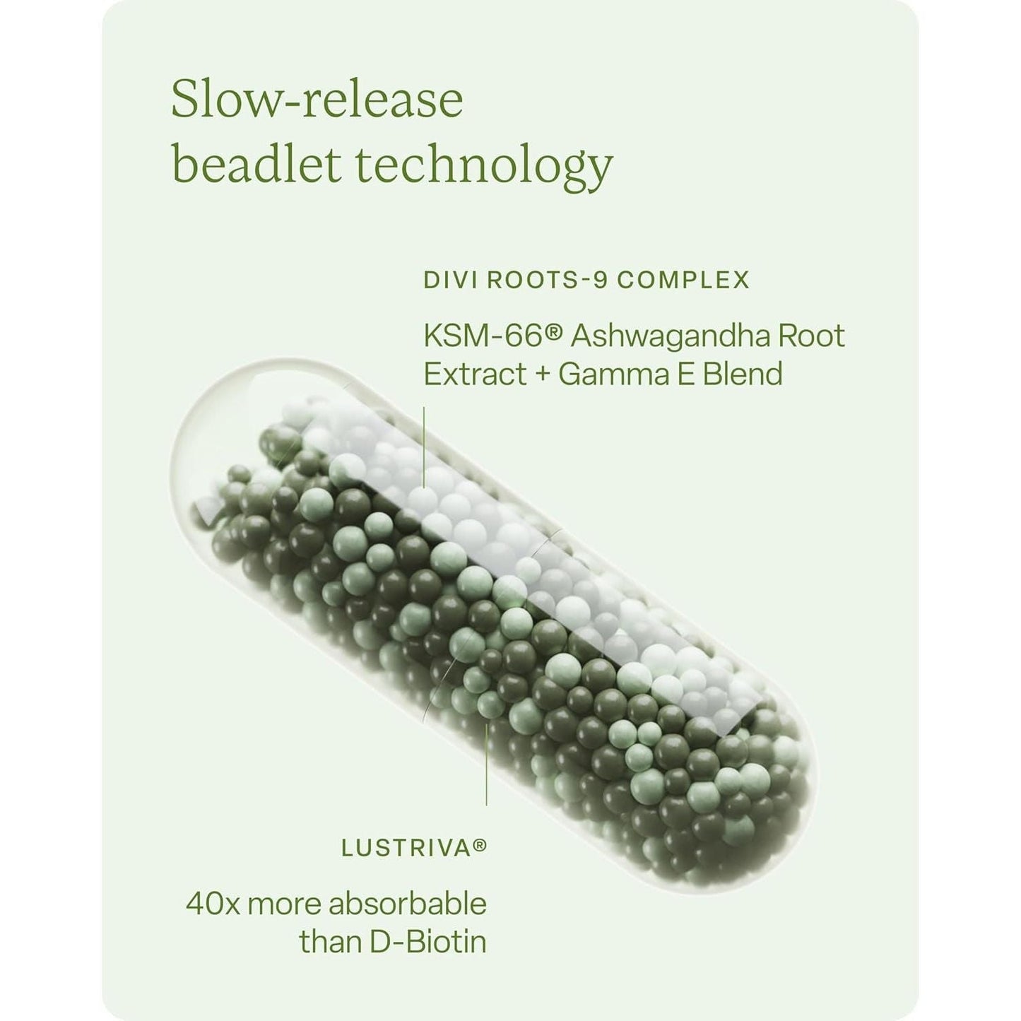 Divi Hair Vitamins  - Made with Clean and Science-Backed Ingredients to Nourish Hair & Scalp - 120 Count