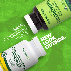 Natures plus Chlorophyll Complex - 90 Vegetarian Capsules - Nutritional Support for General Well-Being 