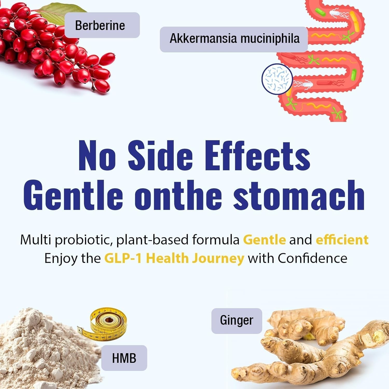 GLP-1 Supplement for Women & Men, Natural GLP-1 Support - 60 Count