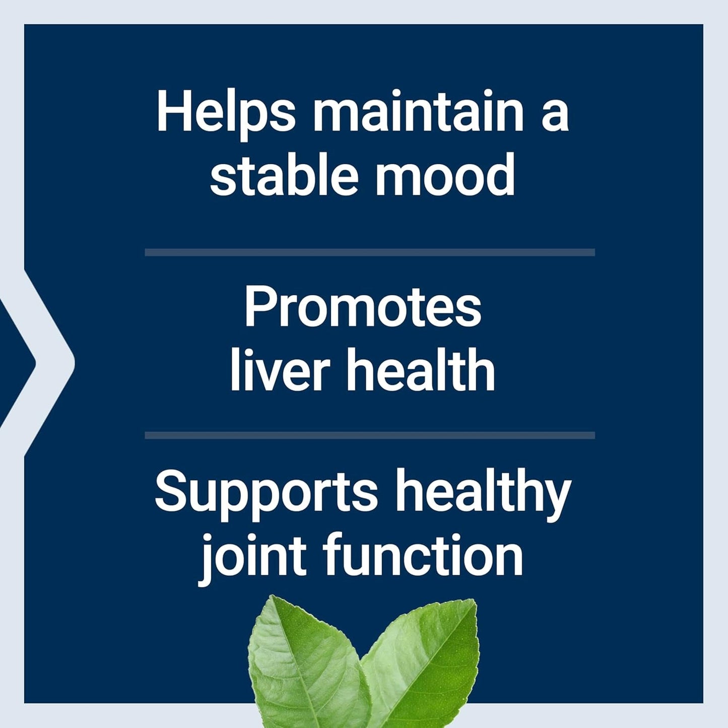 Life Extension Same, Mood, Joint & Liver Support, Gluten-Free, Non-Gmo, Vegetarian, 30 Tablets