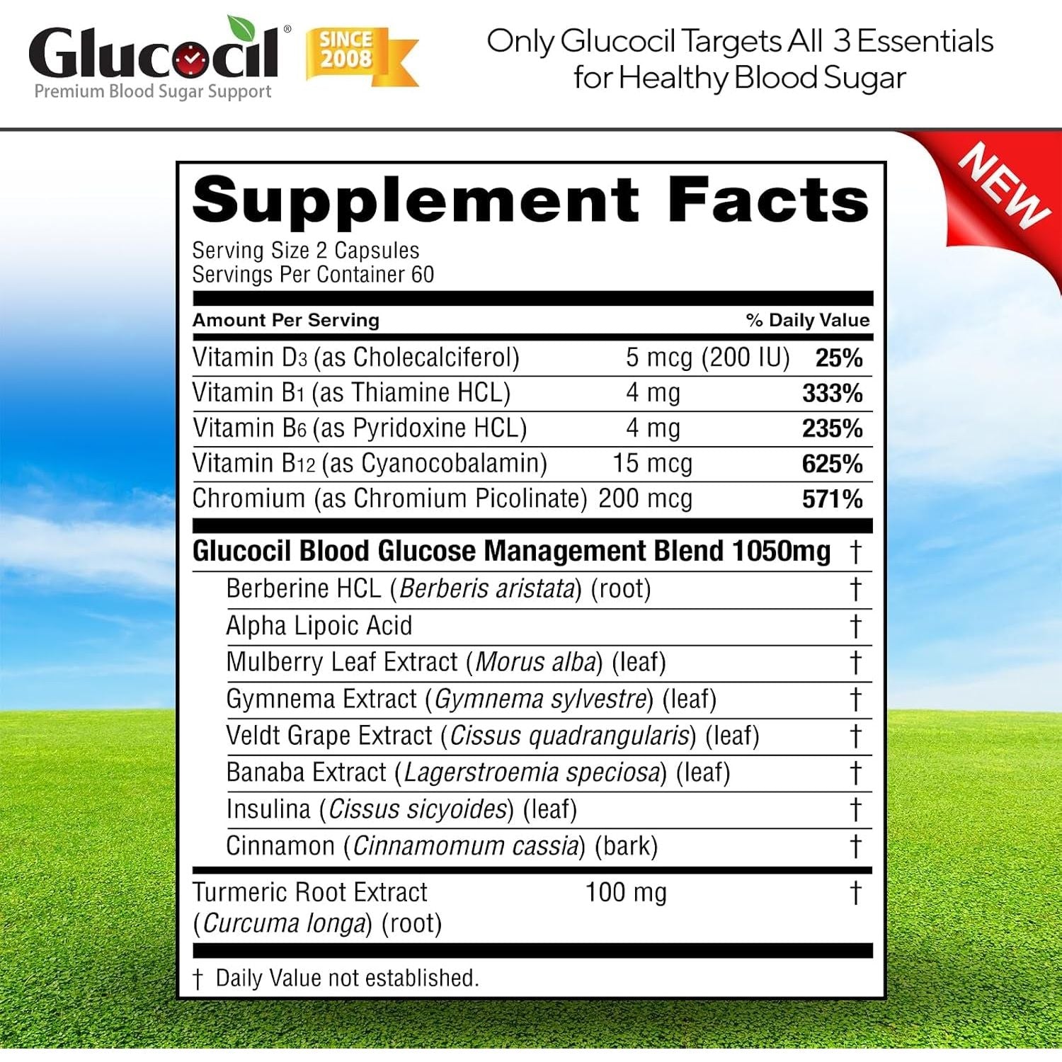 Glucocil - Premium Blood Sugar Support - Supports the 3 Essentials for Healthy Blood Sugar