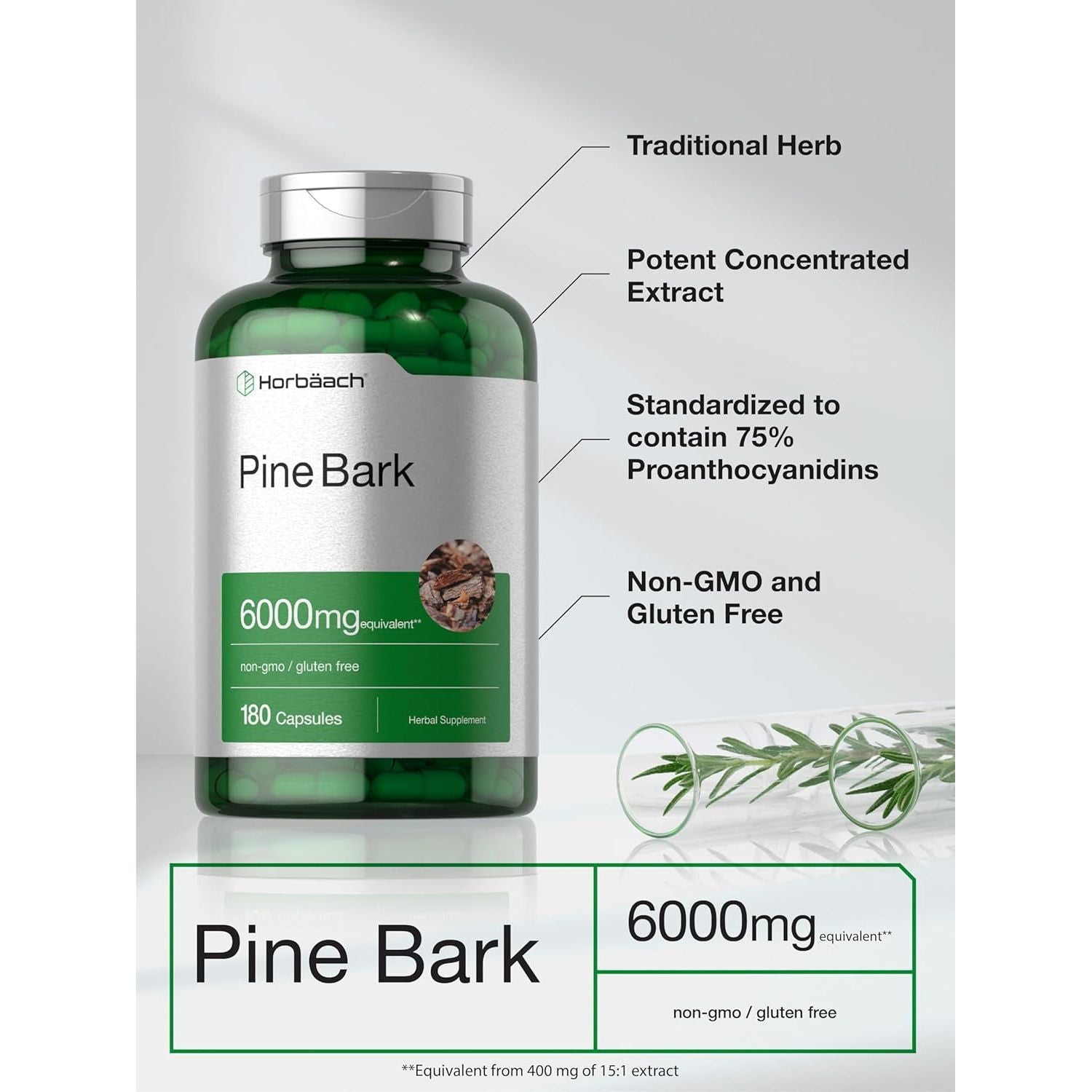 Horbäach Pine Bark Extract | 6000 Mg | Standardized to Contain 75% Proanthocyanidins 180 Capsules