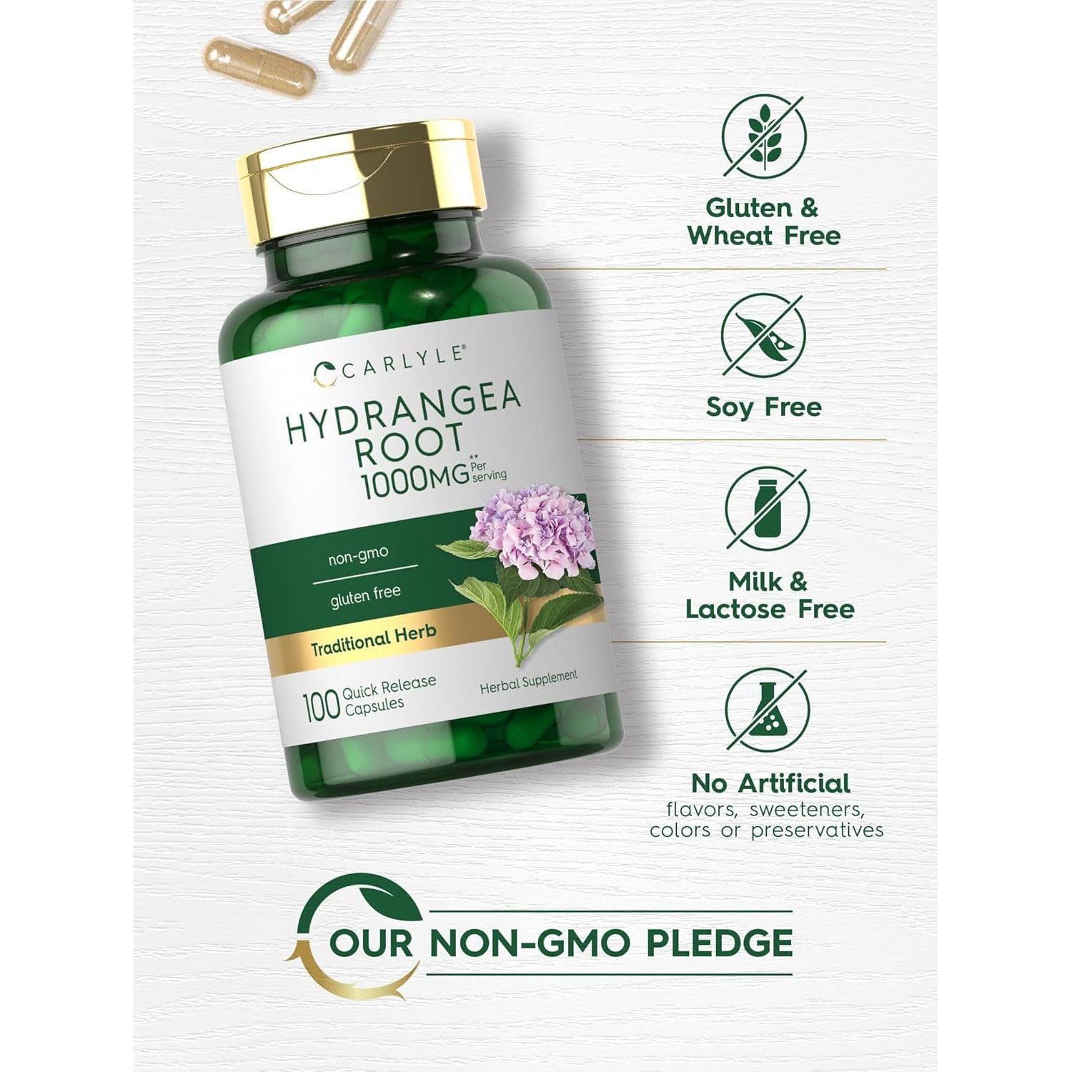 Carlyle Hydrangea Root Capsules | 1,000Mg | 100 Count | Non-Gmo, Gluten Free Extract