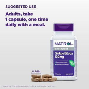 Natrol Brain Health Ginkgo Biloba 120Mg, for Brain Health and Memory Support, 60 Capsules