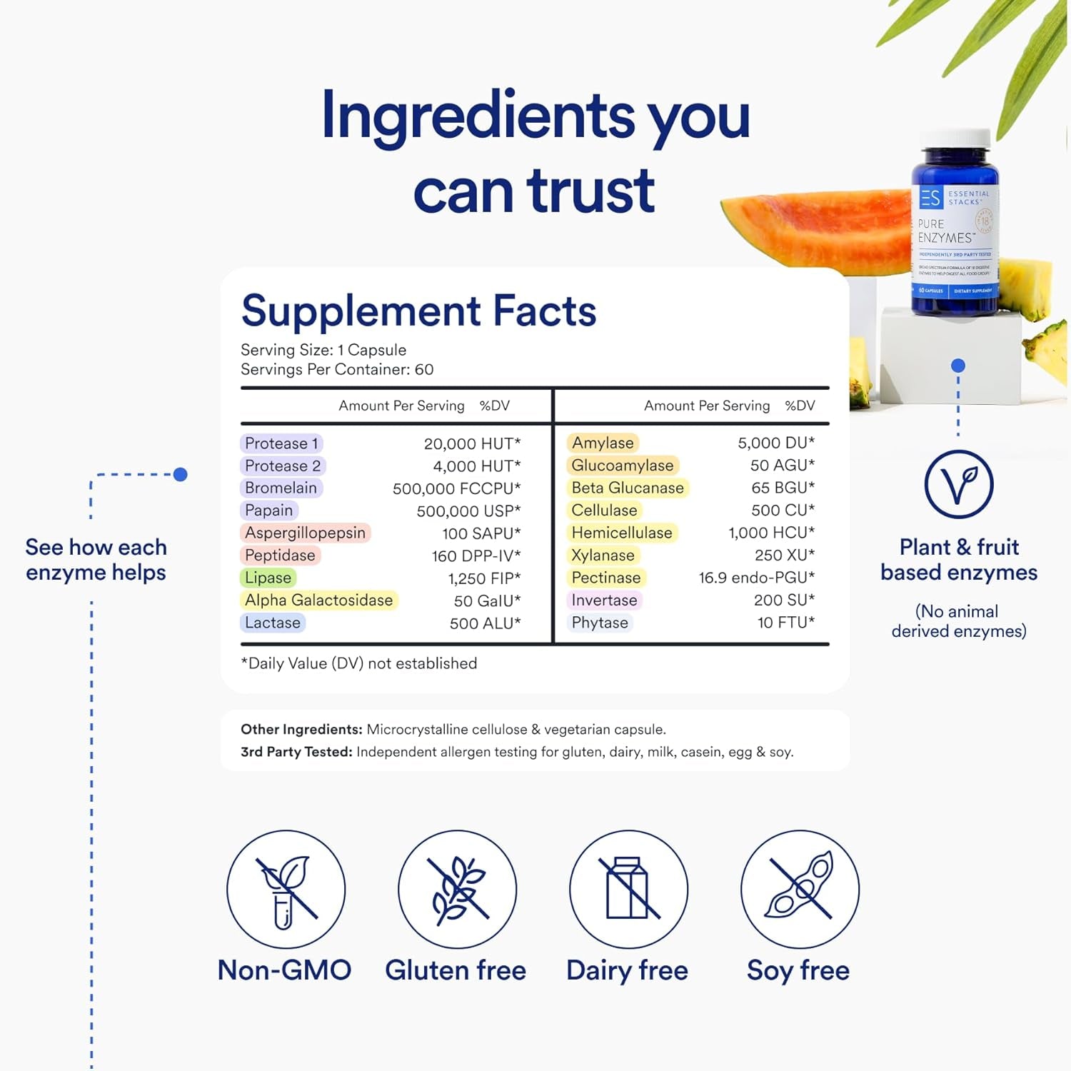 Essential Stacks Pure Digestive Enzymes Incl. Amylase, Lipase & Lactase - (60 Capsules)