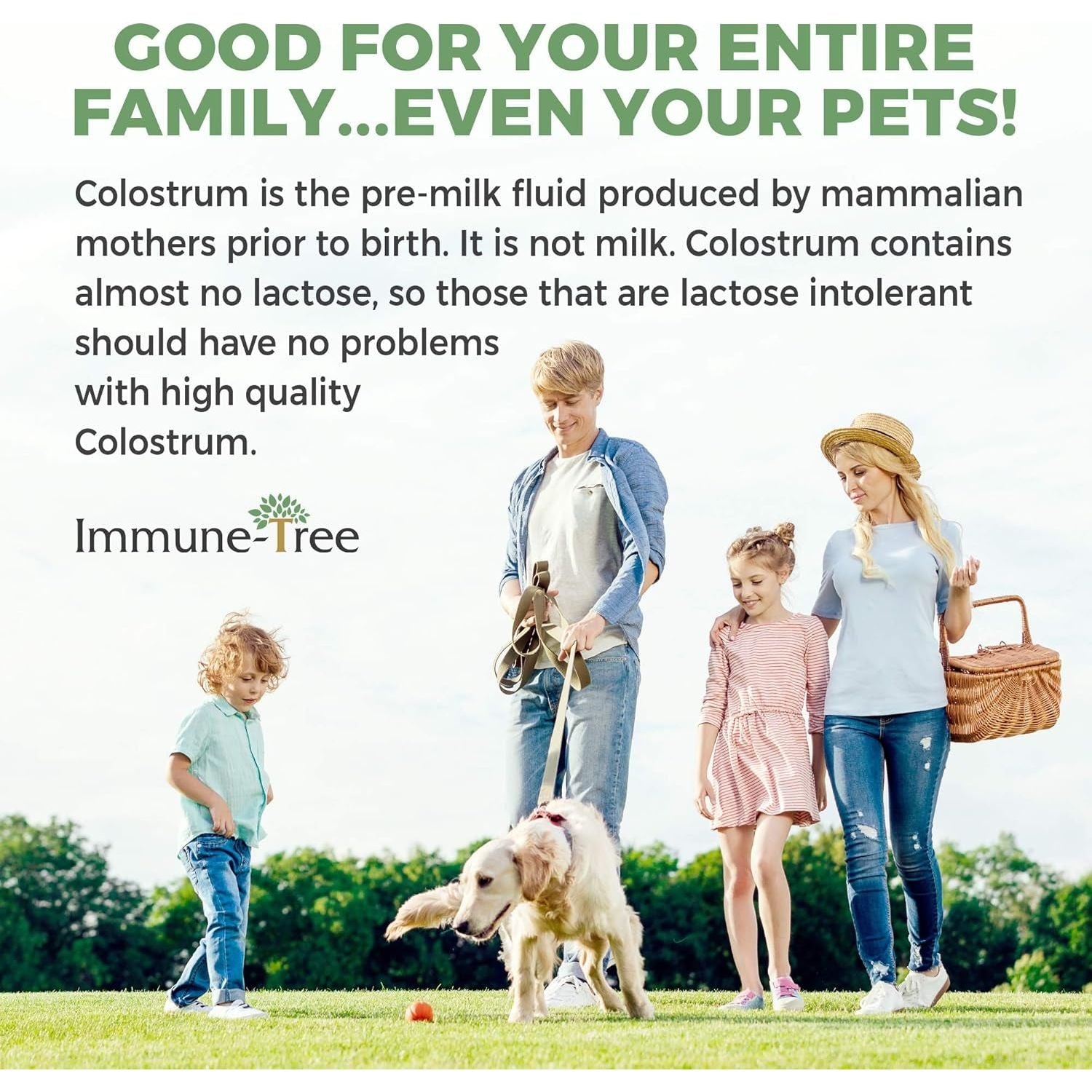 100% Bovine Colostrum Powder, Made in USA from Grass Fed, Grade a Dairy Cows 120 Servings