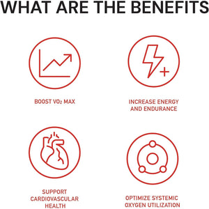 Novex Biotech Oxydrene NAD+ Enhancer - Natural Supplement Promoting Metabolism and Cardiovascular Support - (60 Capsules)