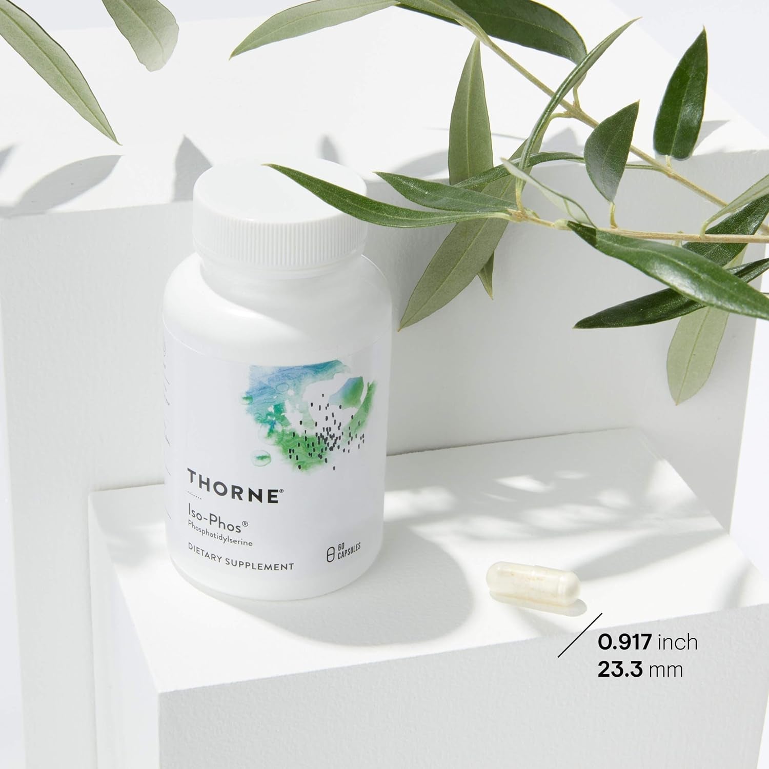 THORNE Phosphatidylserine - Cortisol Management Support to Support Brain Function - 60 Capsules