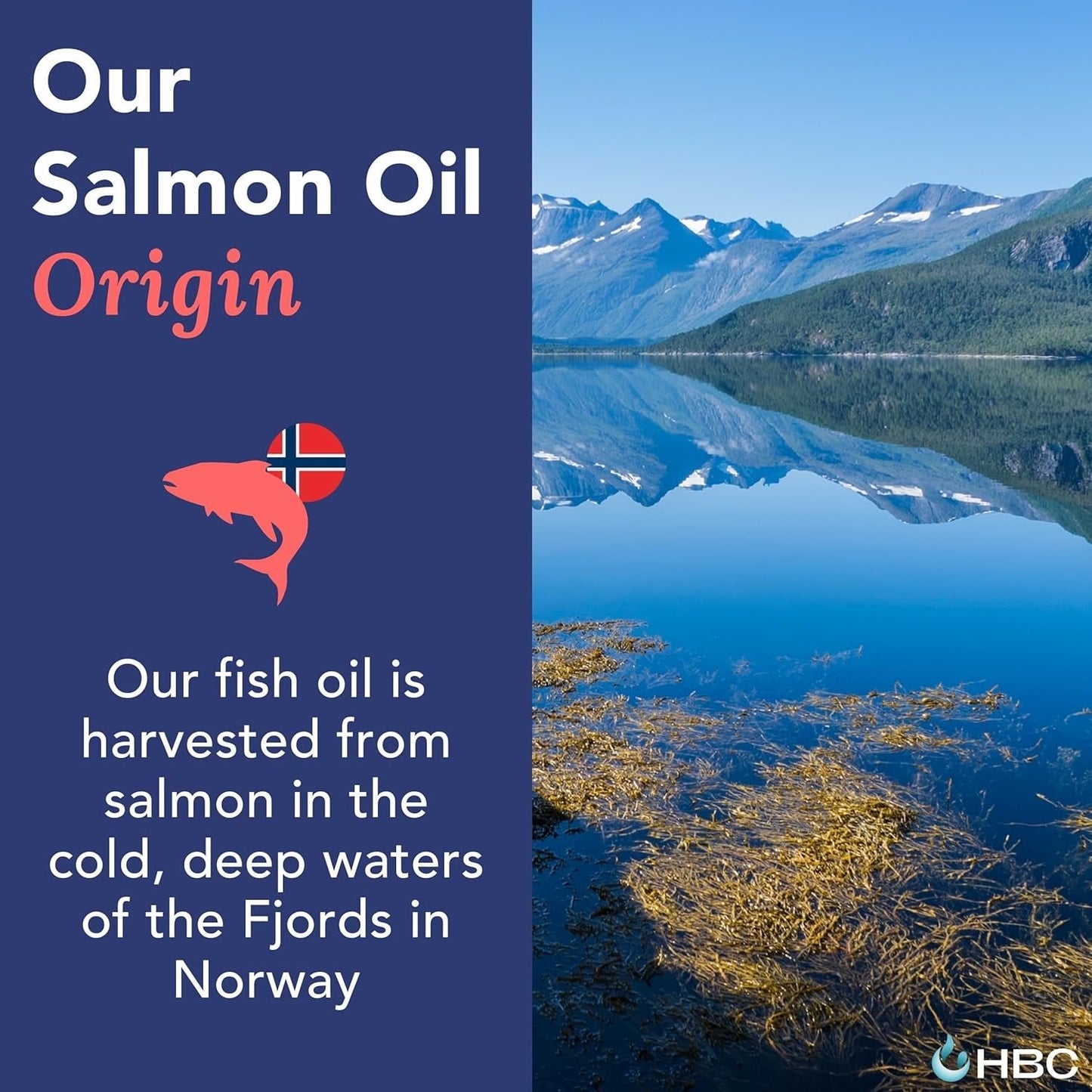 High Strength Omega 3 Fish Oil with Vitamin K2-1000Mg for Eyes, Brain, Heart & Immunity - 90 Capsules