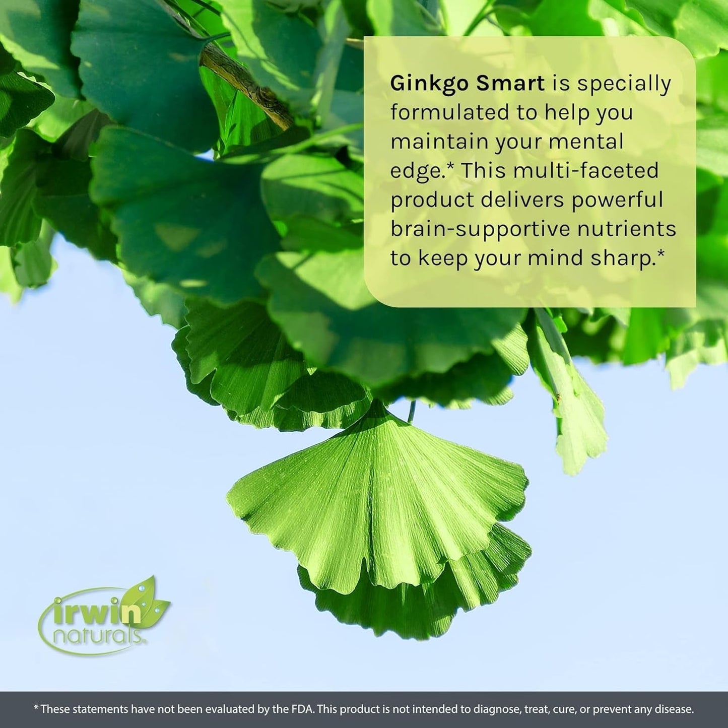 Irwin Naturals Ginkgo Smart Powerful Nootropic Brain Booster - Supports Maximum Memory, Focus & Mental Clarity 120 Liquid Softgels