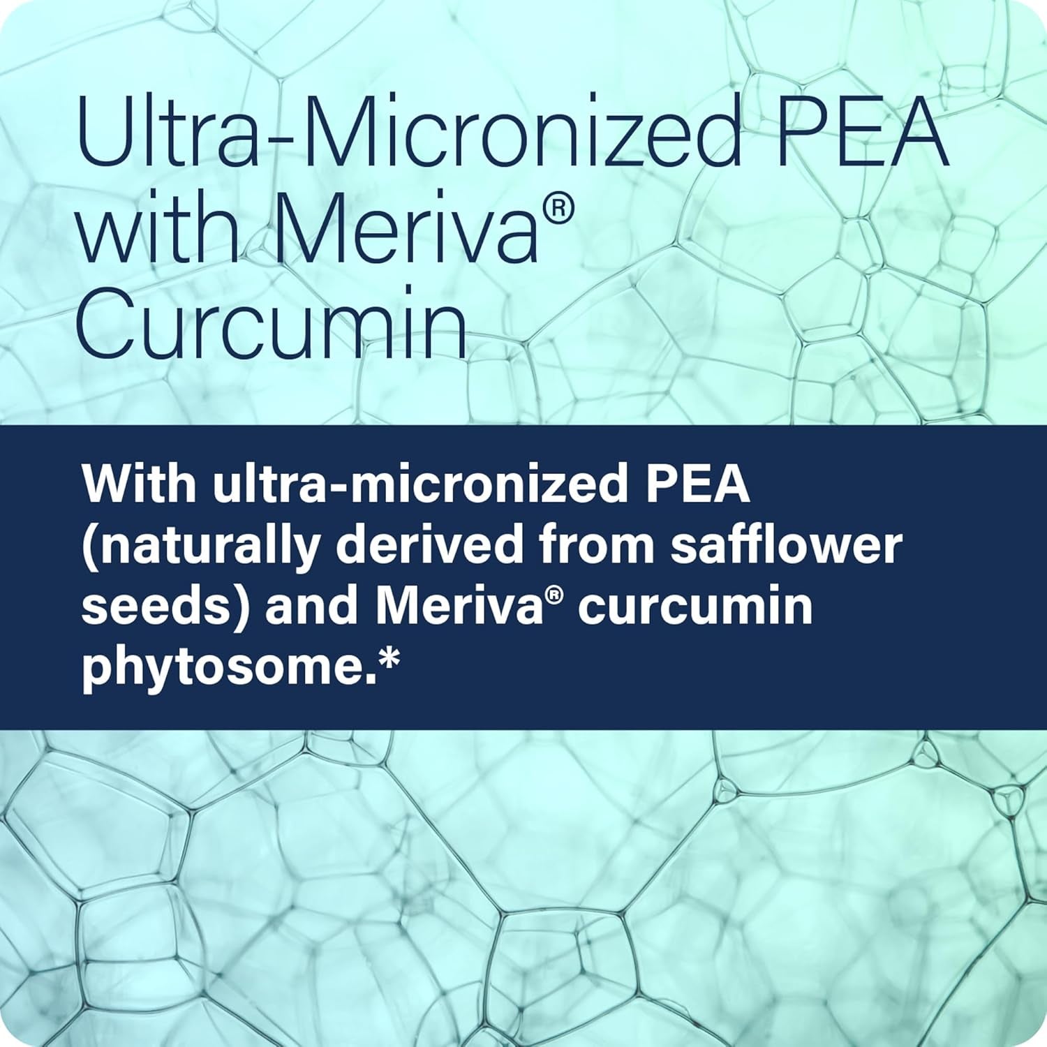 (Pea+, All-Natural Meriva Curcumin Supplement Helps Support Nervous, Immune, & Muscular Systems 60 Capsules