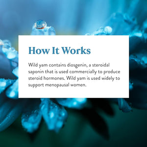 Nature'S Sunshine Wild Yam | Supports and Balances the Female Glandular System 100 Capsules