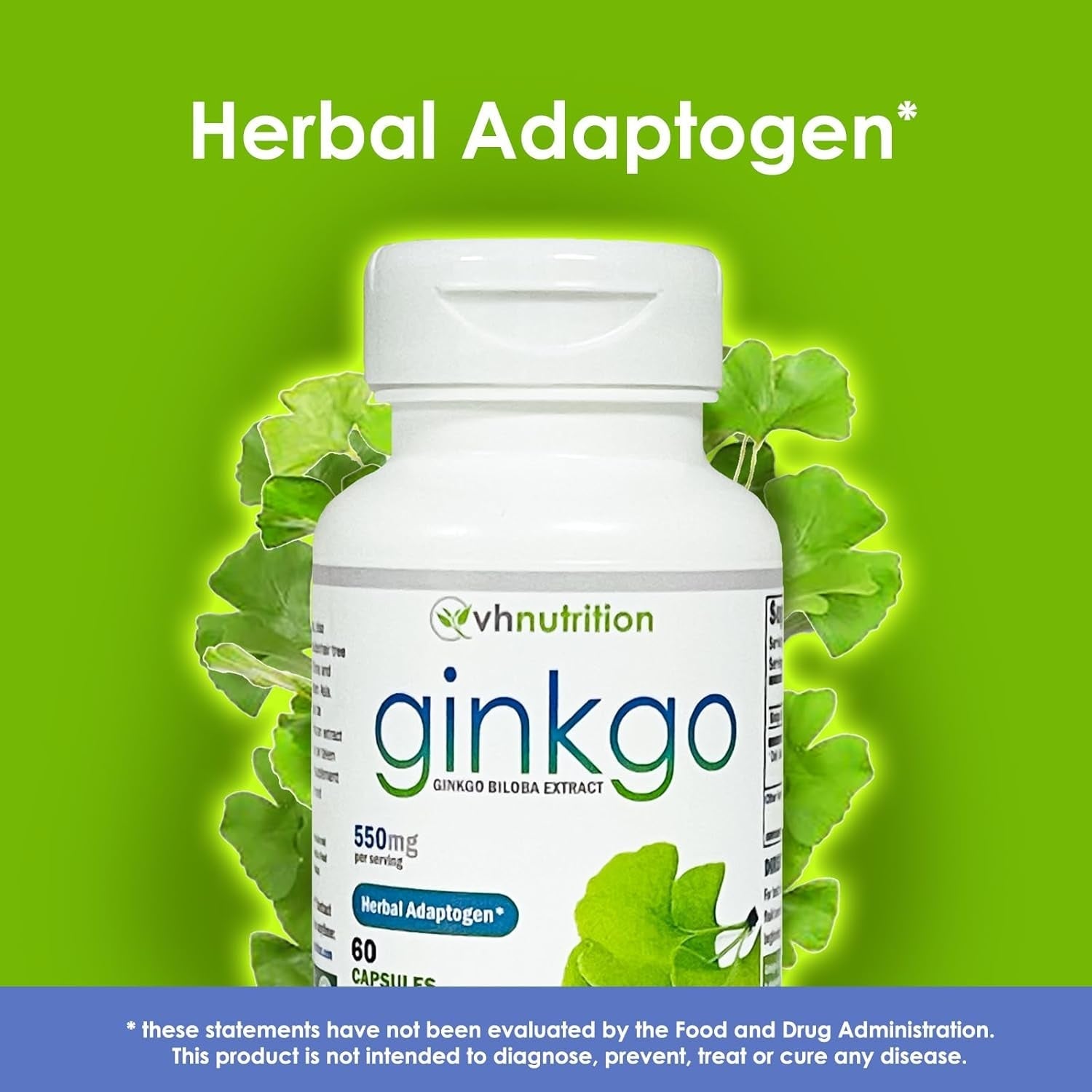VH Nutrition Ginkgo BILOBA | 550Mg Standardized Extract Supplements | Cognitive and Memory Support* | 60 Capsules