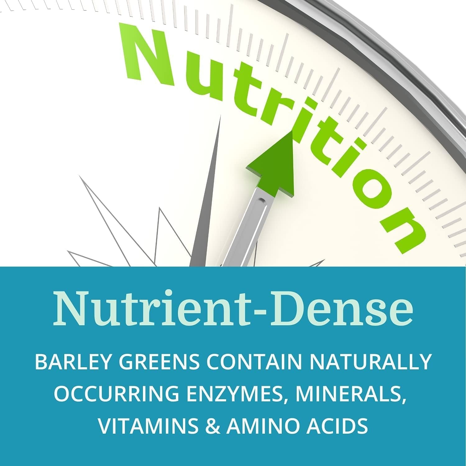 Alka•Green Tablets Best Process Alkaline - Natural Source of Enzymes & Amino Acids