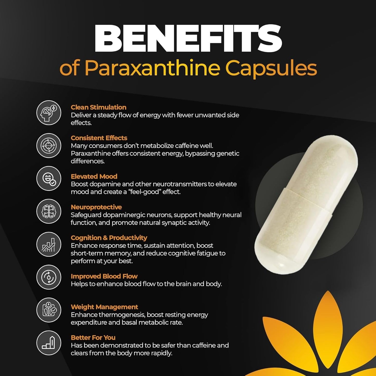 Enfinity Paraxanthine Capsules, Clean Energy & Focus, Caffeine Alternative | 200 Mg 30 Capsules