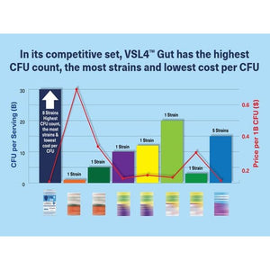 VSL4 Gut Health, Probiotics for Digestive Health, 30 Billion CFU per Capsule, 30 Pack