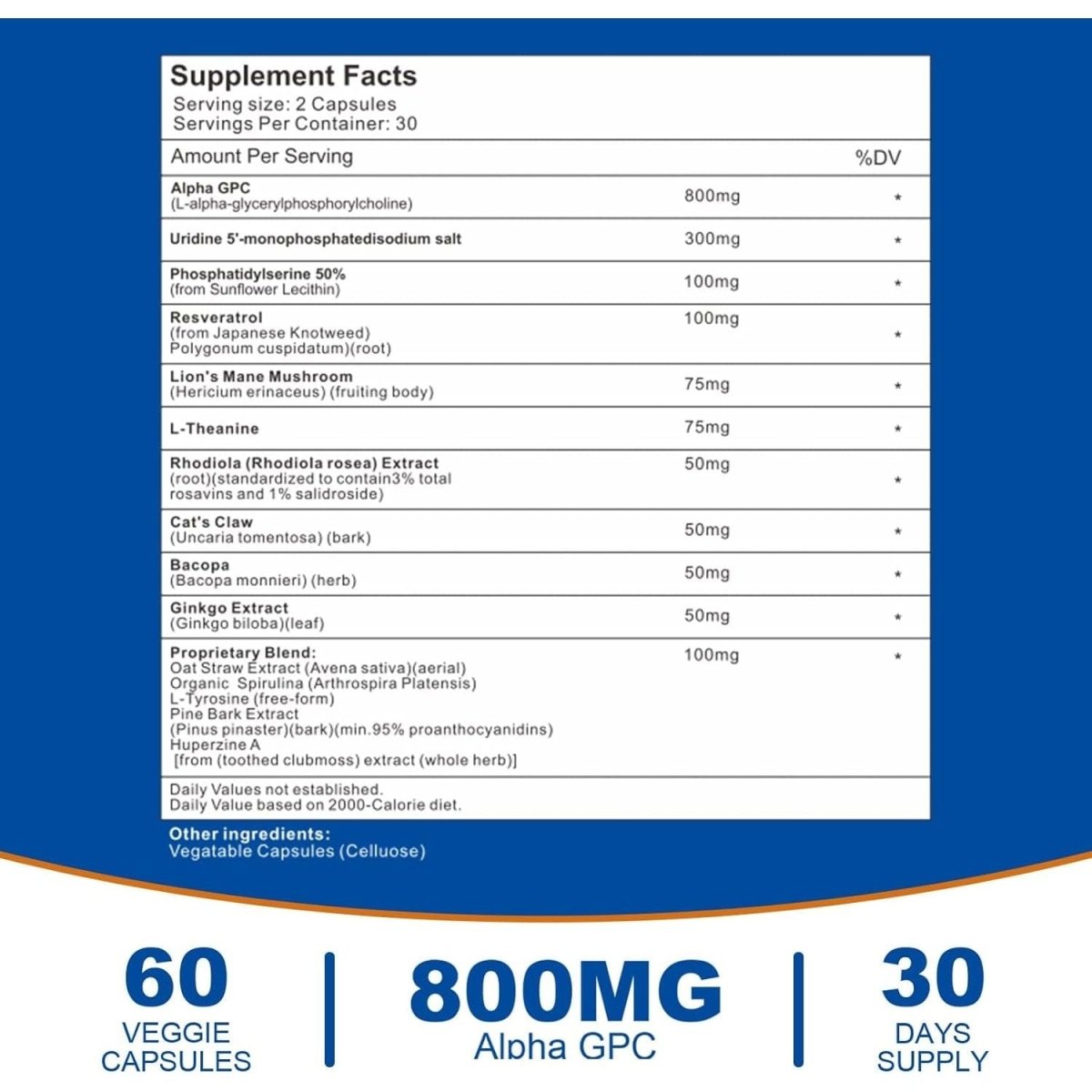 15 - In - 1 Alpha GPC Supplement - Nootropic Brain Supplement For Brain Support, Memory and Focus,60 Capsules - Suppviv