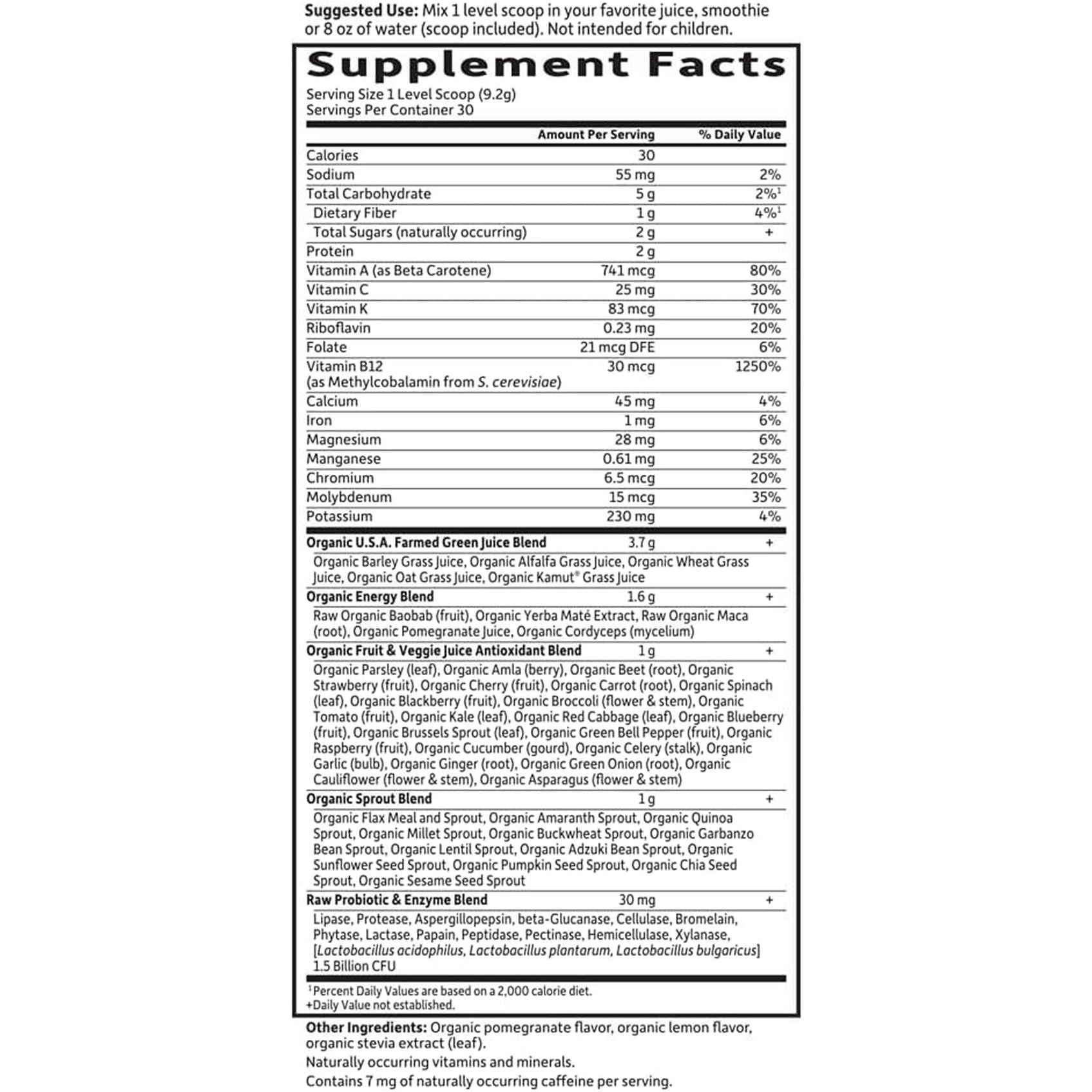 Garden of Life Raw Organic Perfect Food Energizer Juiced Green Superfood Powder 30 Servings, 9.73 Oz