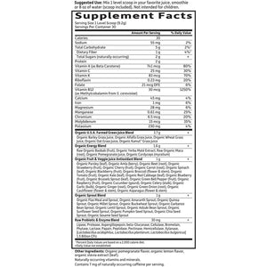 Garden of Life Raw Organic Perfect Food Energizer Juiced Green Superfood Powder 30 Servings, 9.73 Oz