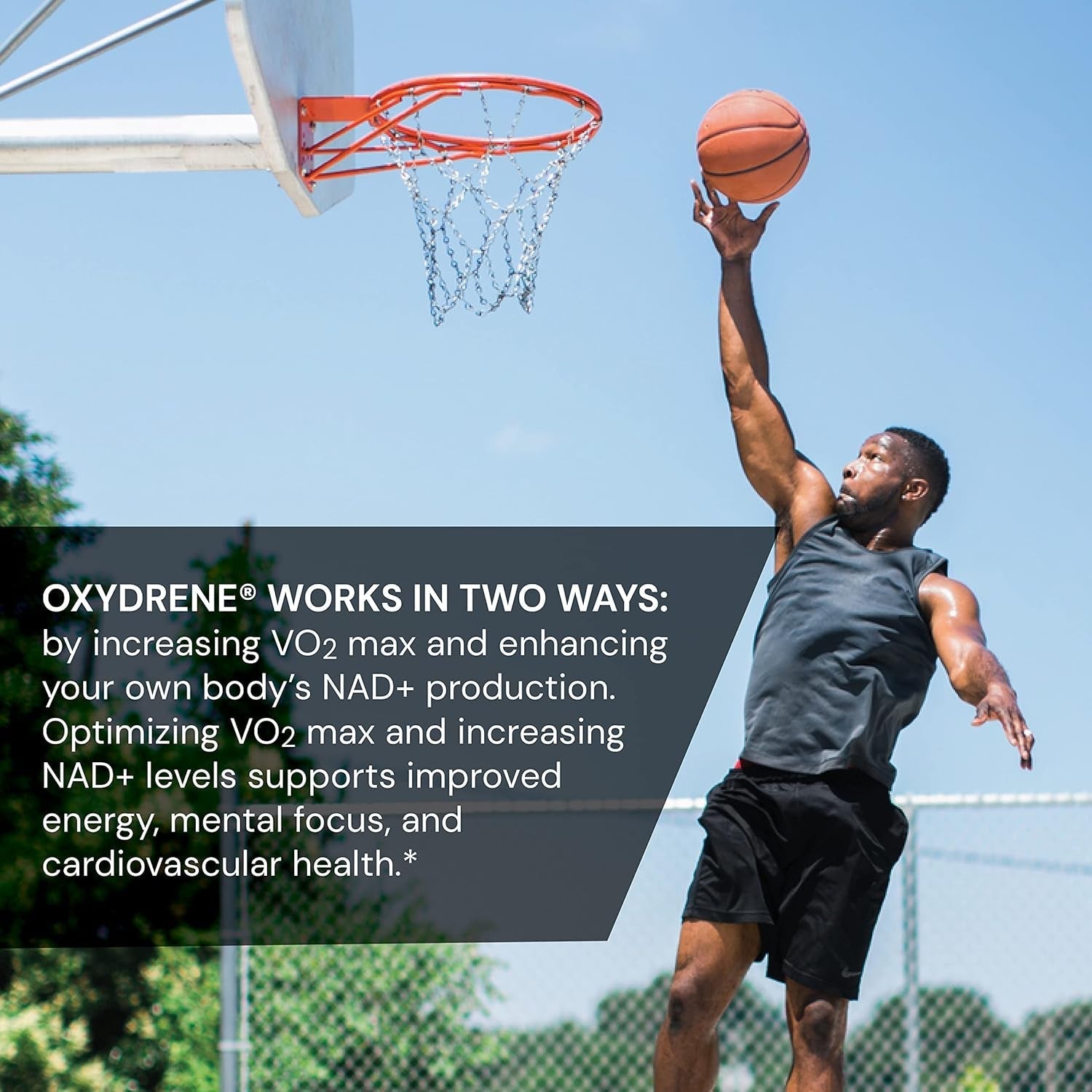 Novex Biotech Oxydrene NAD+ Enhancer - Natural Supplement Promoting Metabolism and Cardiovascular Support - (60 Capsules)