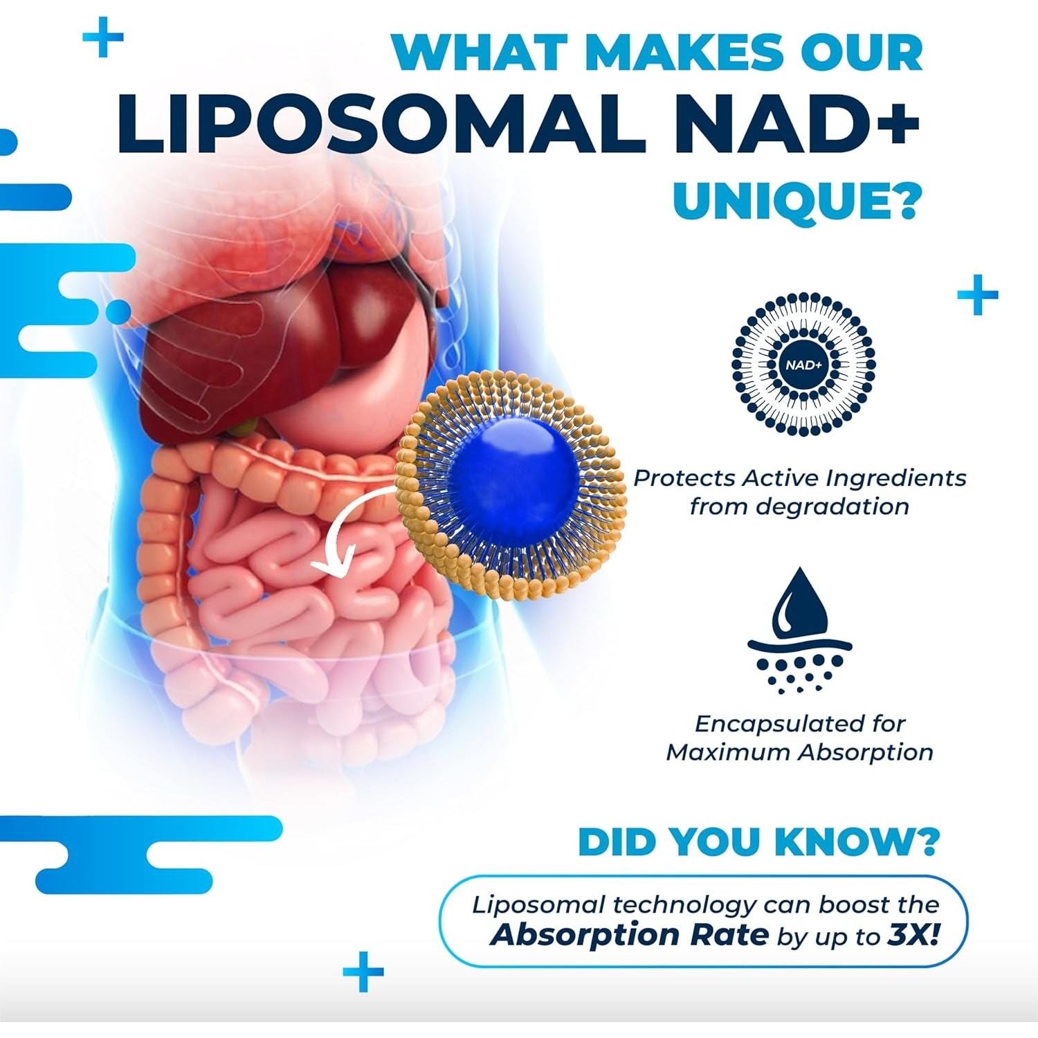 Liposomal NAD+ Trans-Resveratrol with Red Wine Milk Thistle Quercetin Fisetin - Healthy Aging Support - Made in the USA