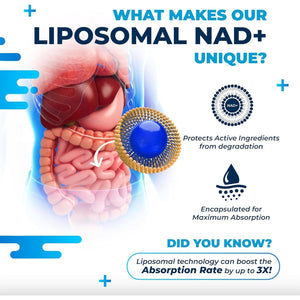 Liposomal NAD+ Trans-Resveratrol with Red Wine Milk Thistle Quercetin Fisetin - Healthy Aging Support - Made in the USA