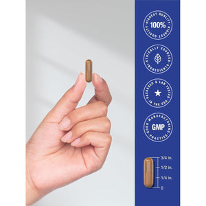 Horbäach PQQ Supplement 40 Mg | 120 Capsules | Pyrroloquinoline Quinone Disodium Salt