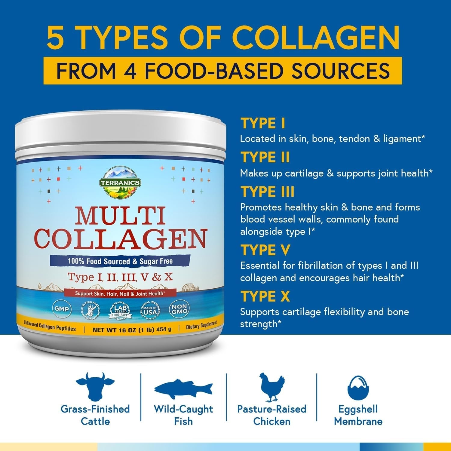 Terranics Multi Collagen Peptides Powder, Type I II III V X Hydrolyzed Collagen for Women+Men, 16Oz
